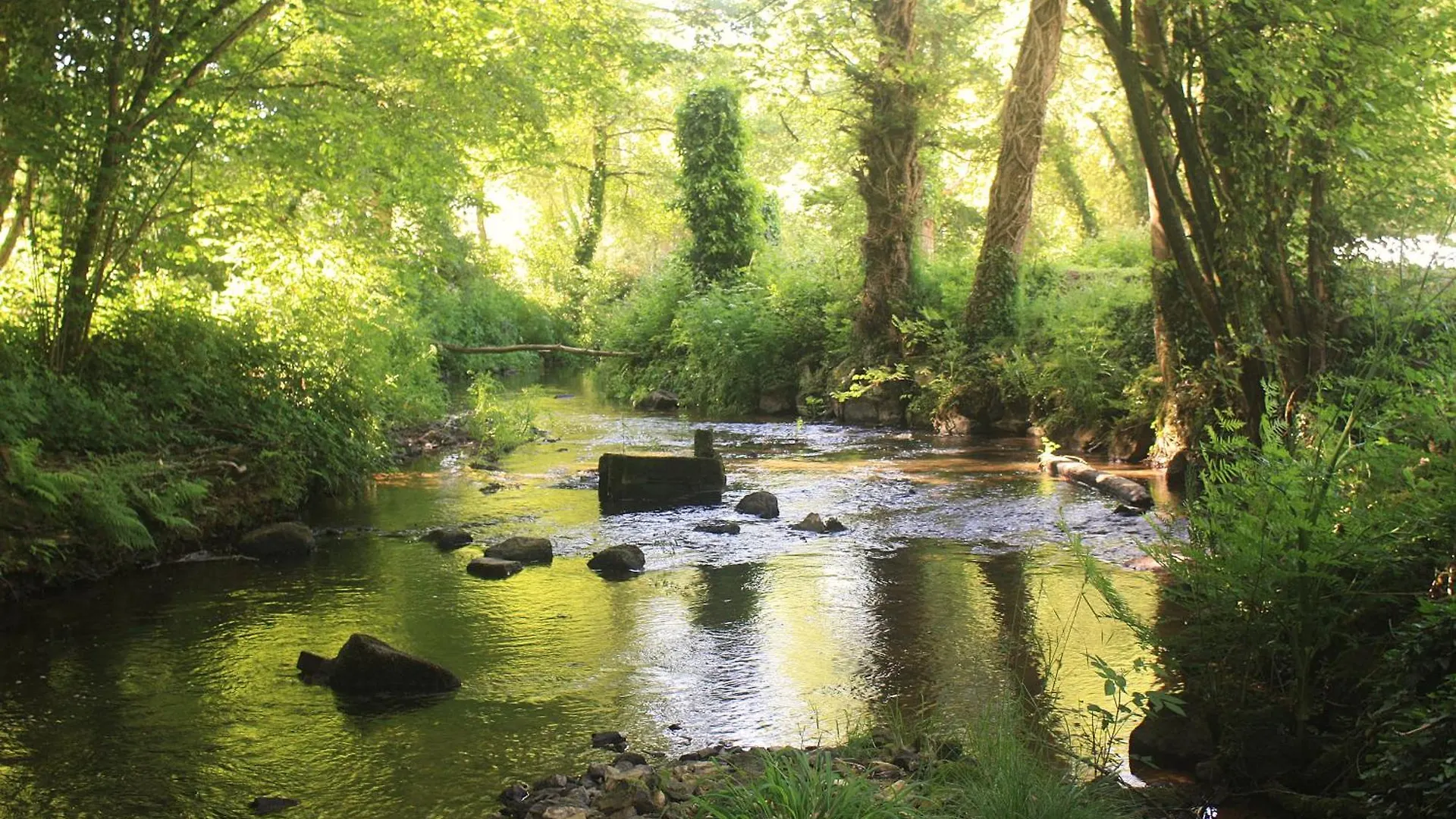 Apartamento Le Moulin Du Guer Guerlédan